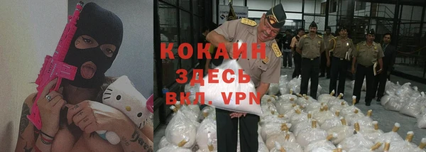 шишки Артём