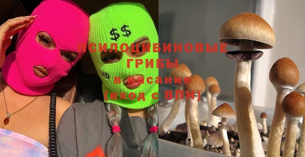 PSILOCYBIN Дмитров