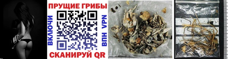 Галлюциногенные грибы ЛСД  Мыски 