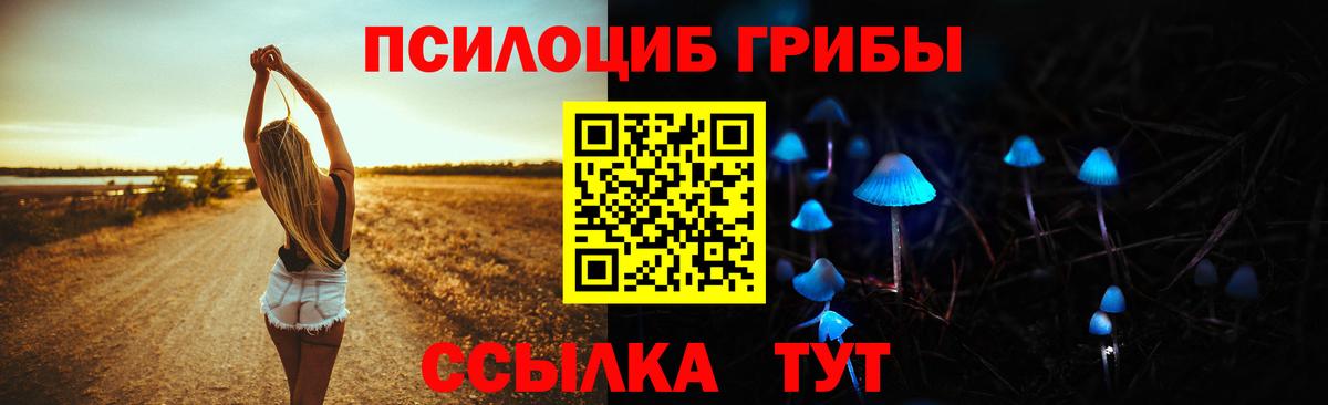 Мыски  продажа наркотиков  Вход с VPN  Галлюциногенные грибы GOLDEN TEACHER  Галлюциногенные грибы Magic Shrooms 