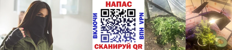 наркотики  Мыски  Канабис LSD WEED 